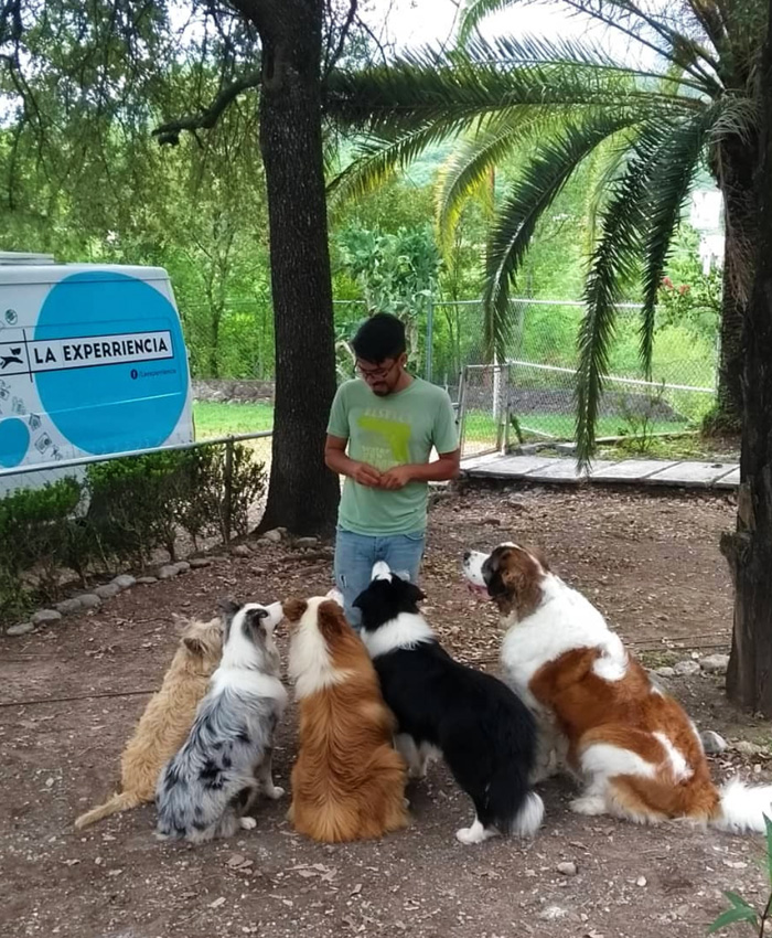 Entrenamiento Canino