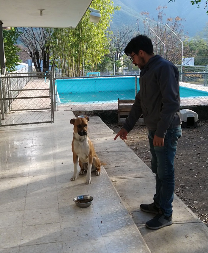 orientacion-canina-4