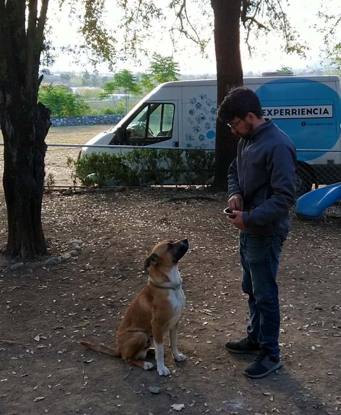 Hotel para mascotas
