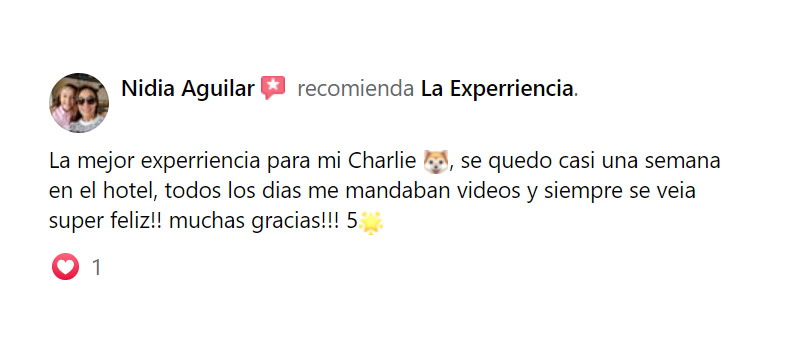 experriencia6