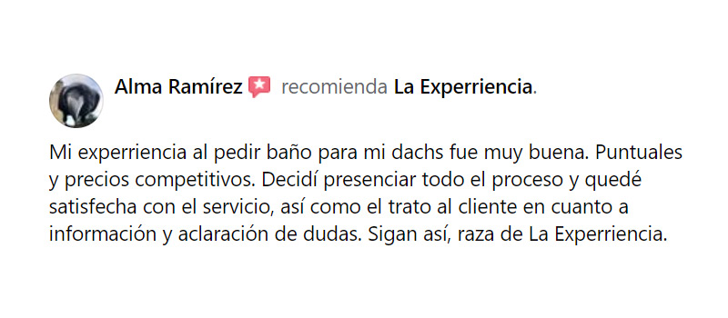 experriencia8
