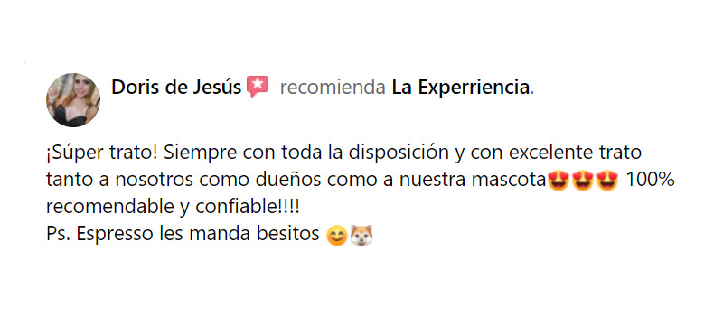 experriencia9