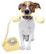 dog-phone